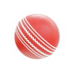 Cricket Ball Games